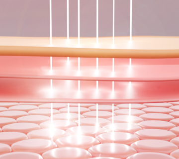 cilt bariyeri güçlendirme