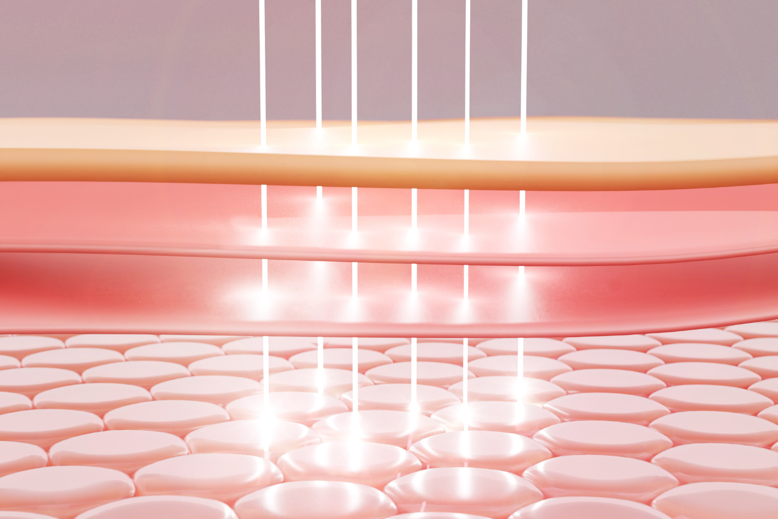 cilt bariyeri güçlendirme