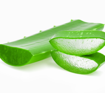 aloe veranın cilde faydaları