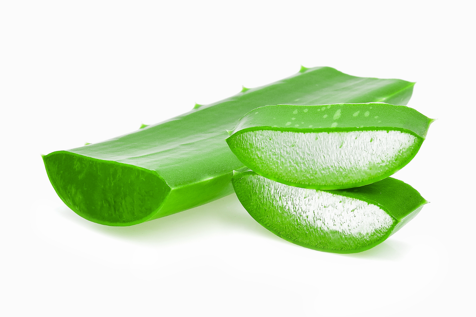 aloe veranın cilde faydaları